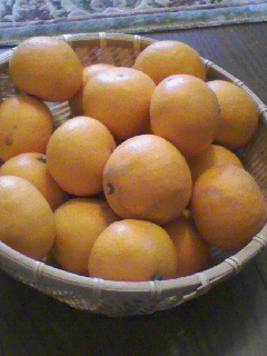 ��͌ł����E�E�E