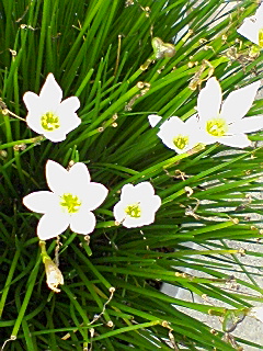 ���ƁA�v�������ǁE�E�E